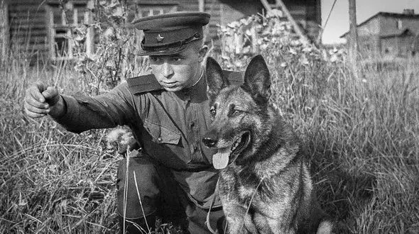 سگ های ضدتانک، سلاح جنجالی ارتش سرخ + تصاویر