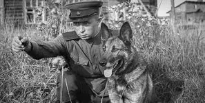 سگ های ضدتانک، سلاح جنجالی ارتش سرخ + تصاویر