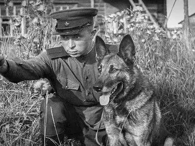 سگ های ضدتانک، سلاح جنجالی ارتش سرخ + تصاویر