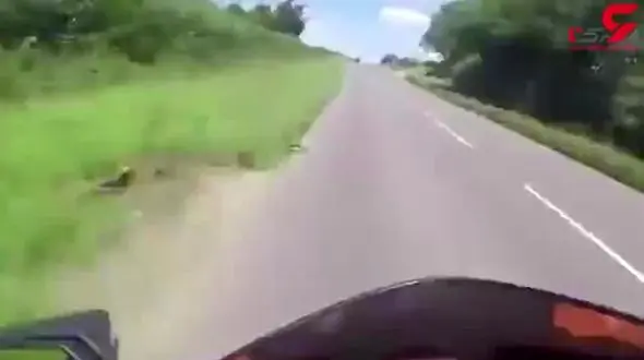 مرگ تلخ یک موتورسوار احمق + فیلم