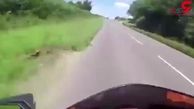 مرگ تلخ یک موتورسوار احمق + فیلم