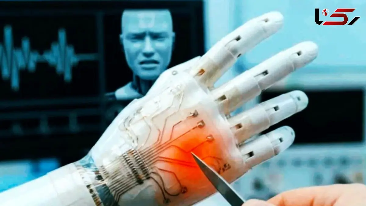 آیا ربات ها می توانند درد فیزیکی را حس کنند؟ بررسی جوانب مختلف