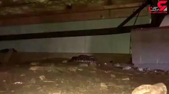 مرد جوان هنگامی که وارد زیرزمین خانه اش شد شوکه و وحشت زده فرار کرد+ فیلم