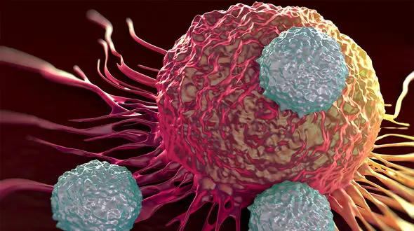 کانسر چیست؟