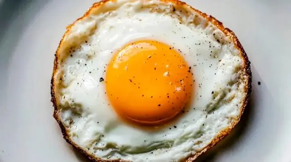 کلسترول و تخم‌ مرغ: شواهد علمی جدید درباره ارتباط آنها