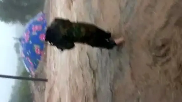 فیلم له شدن سمند در سیل / ببینید