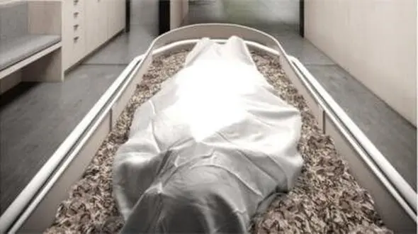 سلاخی زن تهرانی در هتل / نظافتچی از دیدن جنازه خونین فرانک شوکه شد