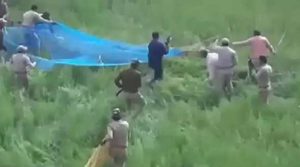 فیلم دیدنی شکار پلنگ با تور + فیلم