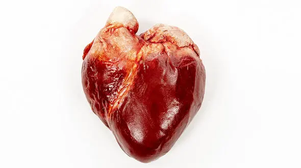 نشانه حملات قلبی در خانم‌ها چیست؟