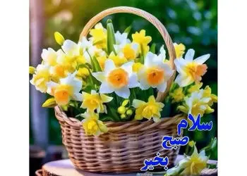 فال و طالع بینی امروز 4 دی + فیلم