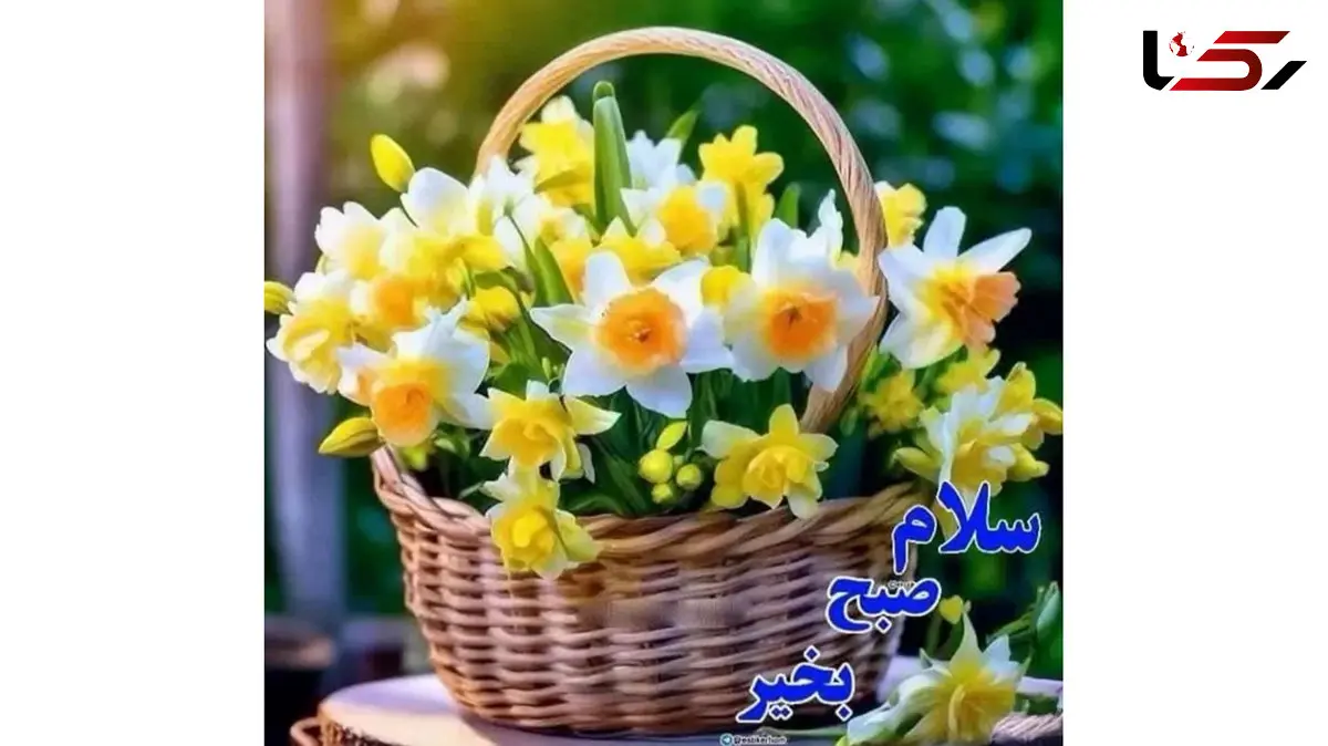 فال و طالع بینی امروز 4 دی + فیلم