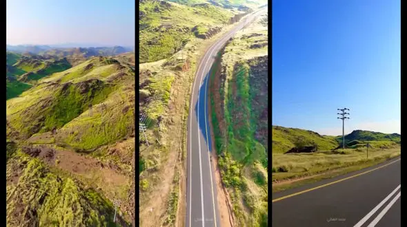 سبز شدن گسترده ارتفاعات مکه در عربستان پس از بارندگی های دو ماه اخیر + فیلم 