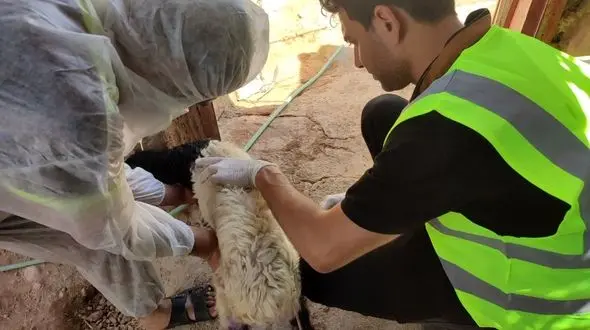 اقدام علیه بیماری طاعون در کارون خوزستان!