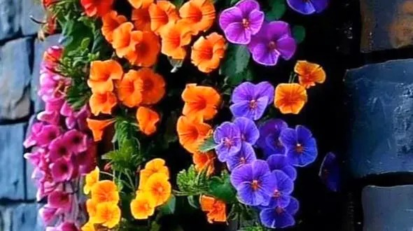 فال ابجد 7 فروردین 1404 + فیلم