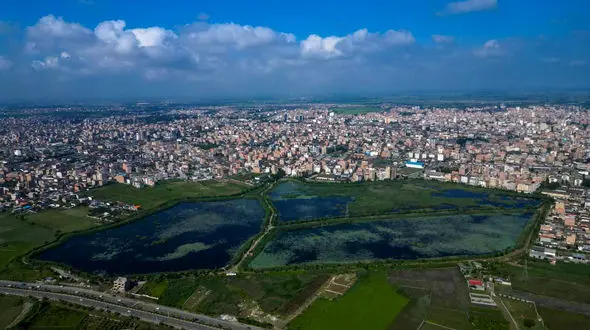 زیبایی تالاب نیلوفر آبی بابل + عکس