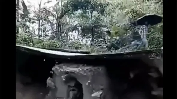 فیلک عبور از مرگ خوش شانس ترین آدم دنیا را ببینید 