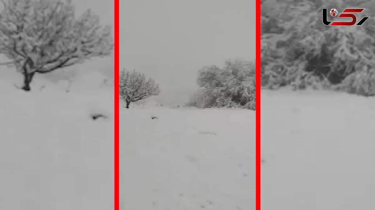 فیلم جلوه های زمستانی روستای کرفت در خفر