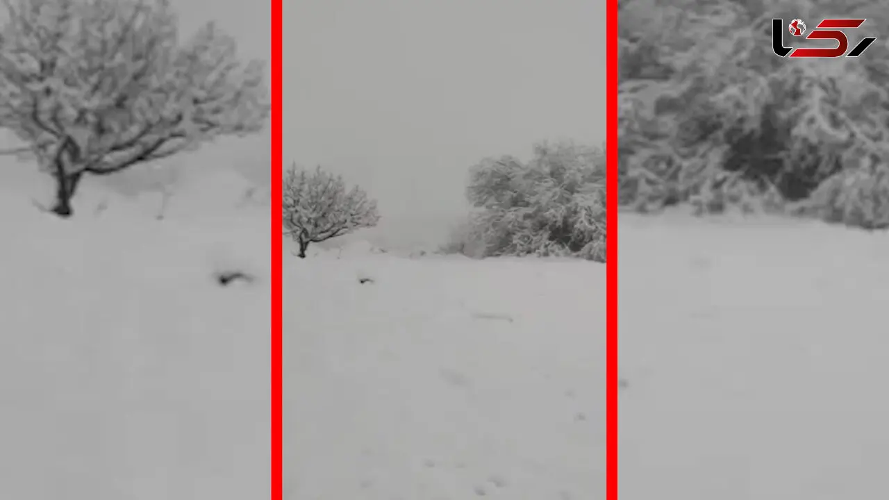 فیلم جلوه های زمستانی روستای کرفت در خفر