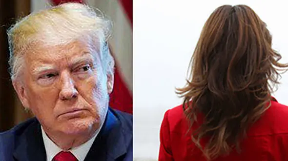 تکه‌تکه کردن ترامپ توسط یک شیرزن!+ عکس