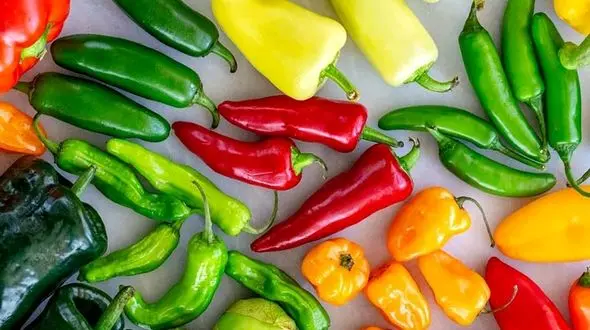 فلفل سبز تند مفید است یا شیرین؟