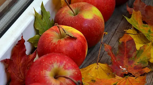 فال و طالع بینی امروز 25 شهریور 