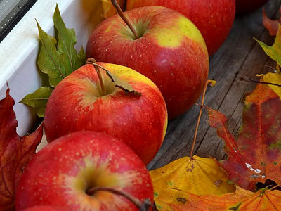 فال و طالع بینی امروز 25 شهریور 