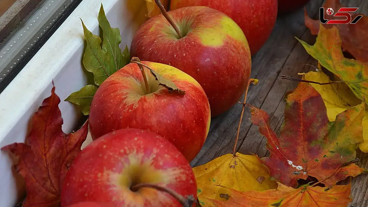فال و طالع بینی امروز 25 شهریور 