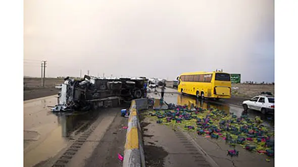 9 عکس از جاده پر از انگور سمنان به تهران / مردم گل کاشتند 