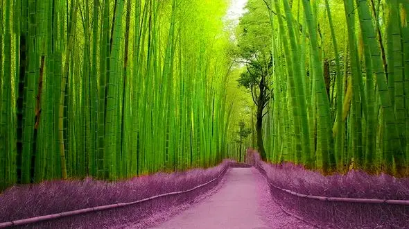 فیلم/ 15 مکان رویایی که باورتان نمی شود در واقعیت هم وجود داشته باشند 