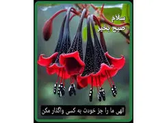 تفسیر فال حافظ امروز 7 آذر 1404