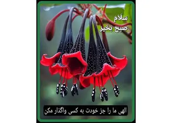 تفسیر فال حافظ امروز 7 آذر 1404