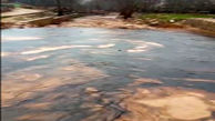 فیلم جاری شدن نفت در رودخانه معروف چهارمحال و بختیاری