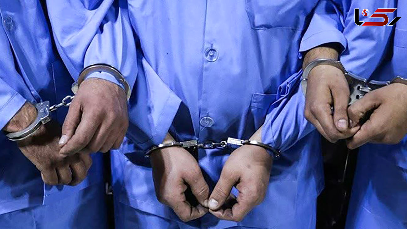 دستگیری سارقان حرفه ای با ۱۱۵ فقره سرقت