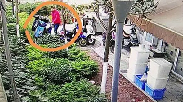 دزدان احمق حین فرار سر از اداره پلیس درآوردند +عکس