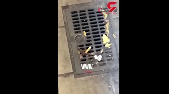 جنجال سوسک سیگاری در فضای مجازی + فیلم