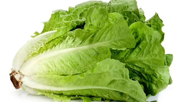 مصلح سردی ها را بشناسیم!