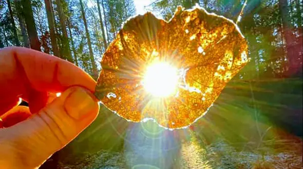 فال ابجد واقعی 26 مهر + فیلم