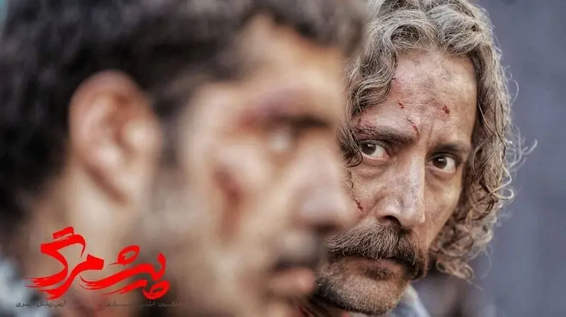 بیوگرافی آرش آصفی 3