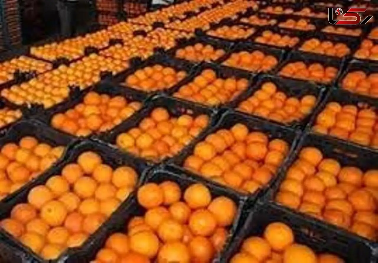 ۶۰۰ هزار تن پرتقال ترکیه‌ای در راه ایران 