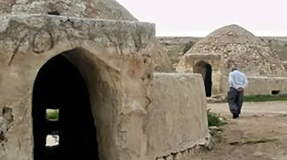 شیرجه مرگبار 7 دوست شیرازی در برکه / احمدرضا شوخی نمی‌کرد