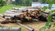 کشف ۱۰ تن چوب قاچاق در شهرستان آوج استان قزوین 