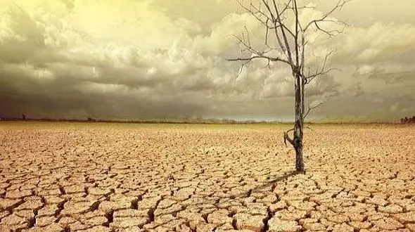 گرم شدن خاک دمای کره زمین را افزایش می دهد