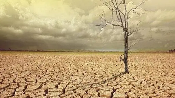 گرم شدن خاک دمای کره زمین را افزایش می دهد