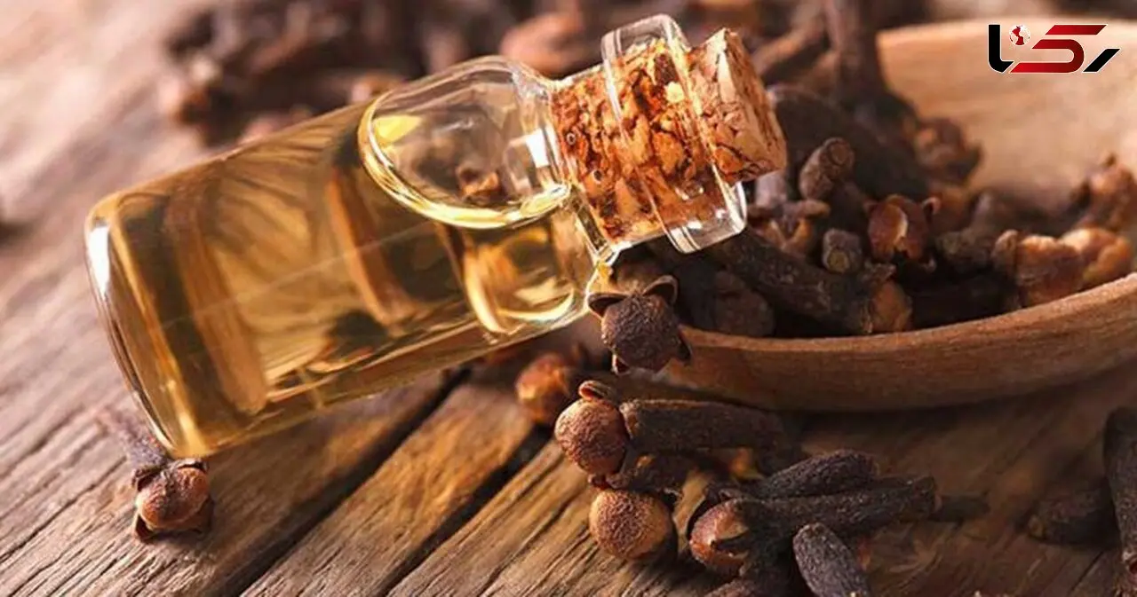 با خواص روغن گل میخک بیشتر آشنا شوید