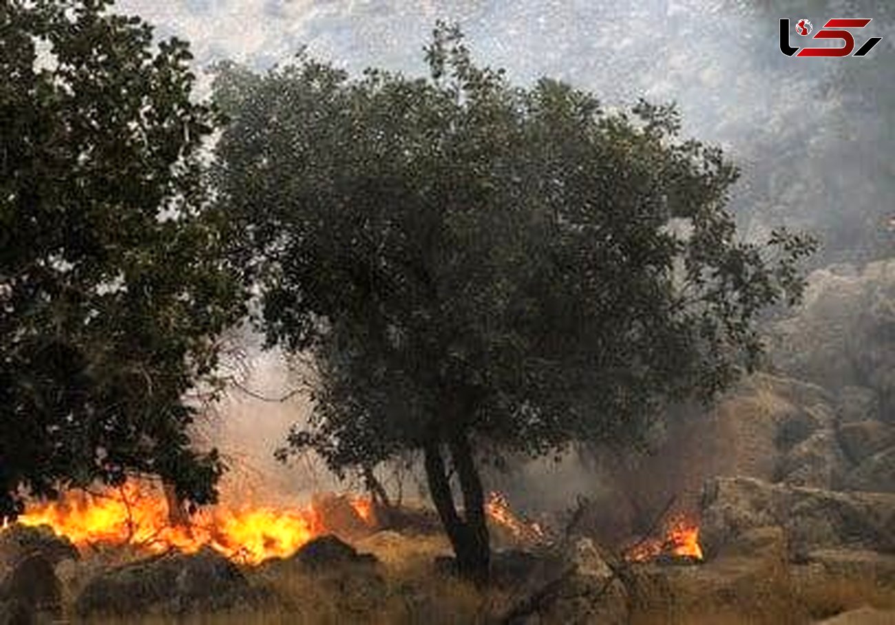 معرفی ۳ عامل آتش‌سوزی در پارک ملی دز به مراجع قضایی