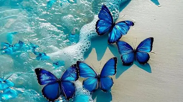 فال ابجد واقعی 20 بهمن + فیلم 