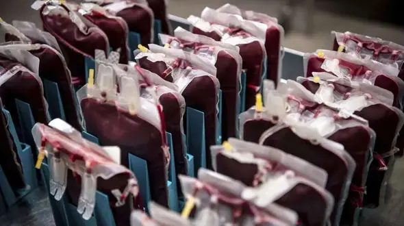 ژاپن پیشتاز در تولید خون مصنوعی سازگار با همه گروه‌ های خونی / فیلم