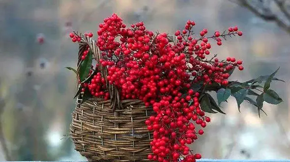 فال ابجد 20 فروردین + فیلم