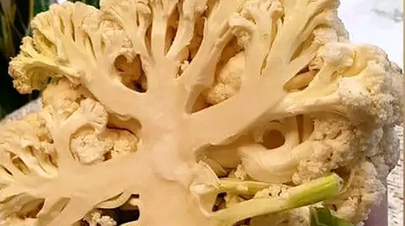 ترشی مشهدی یک ترشی متفاوت 