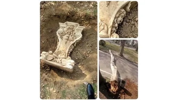 دزدان پایه ستون قاجاری را رها نخواهیم کرد/ به دروغ هایی چون قطع درختان توجه نکنید